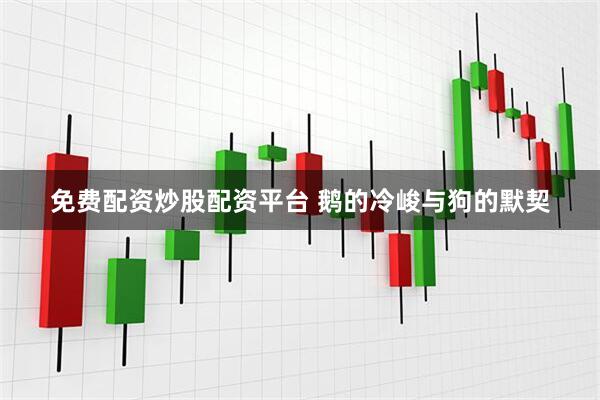 免费配资炒股配资平台 鹅的冷峻与狗的默契
